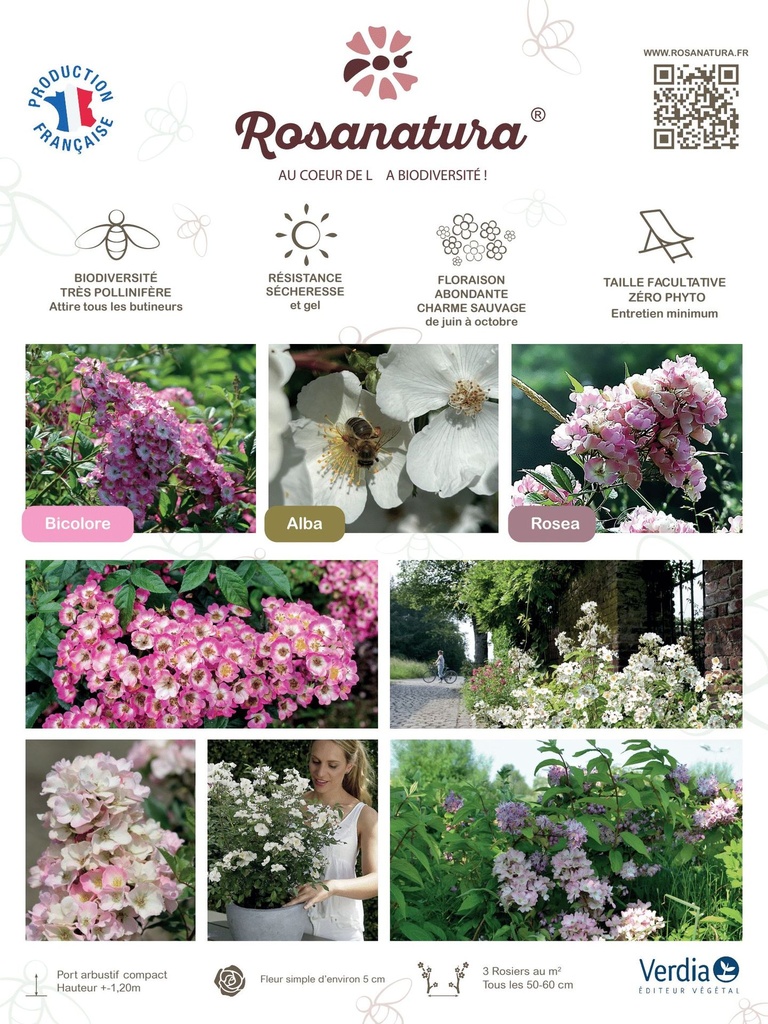 Akilux Rosanatura.jpg