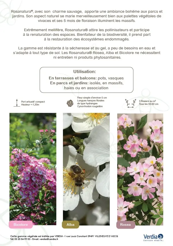 ROSANATURA VERSO.webp