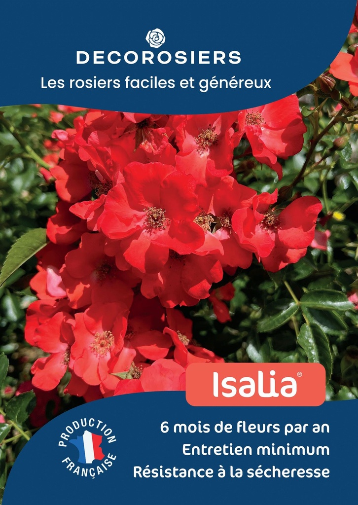 A4_DECOROSIERS_ISALIA.jpg