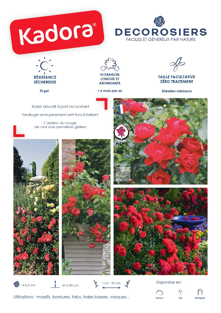 FICHE COMMERCIALE DECOROSIERS KADORA_page-0001.webp