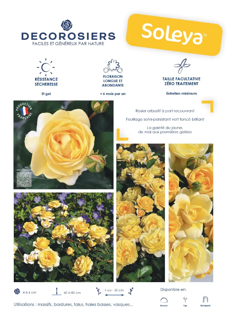 FICHE COMMERCIALE DECOROSIERS SOLEYA_page-0001.webp