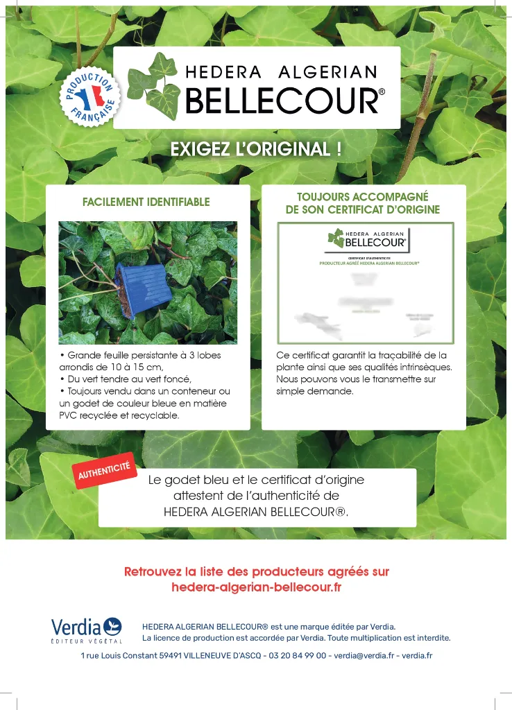 PLAQUETTE_BELLECOUR_25-26 (2)_page-0002.webp