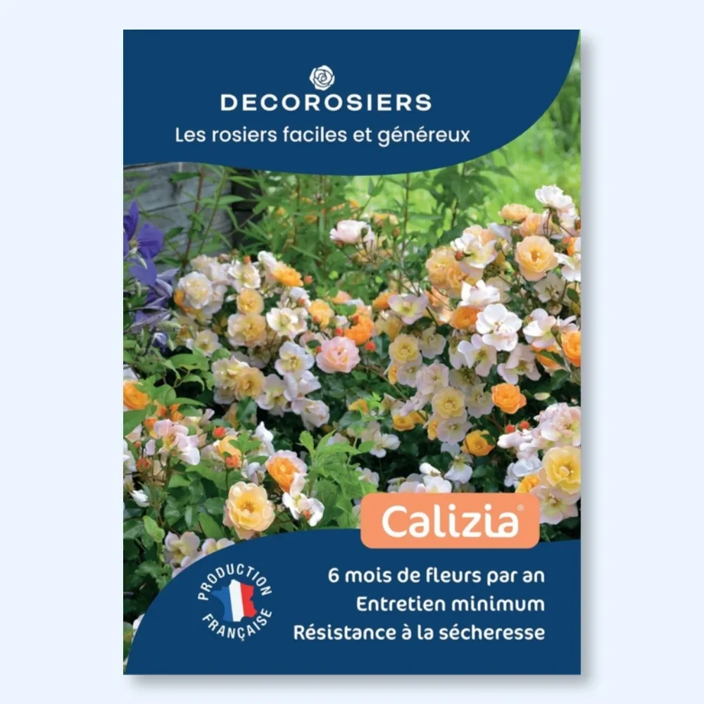 Affichette PVC DECOROSIERS® Calizia®