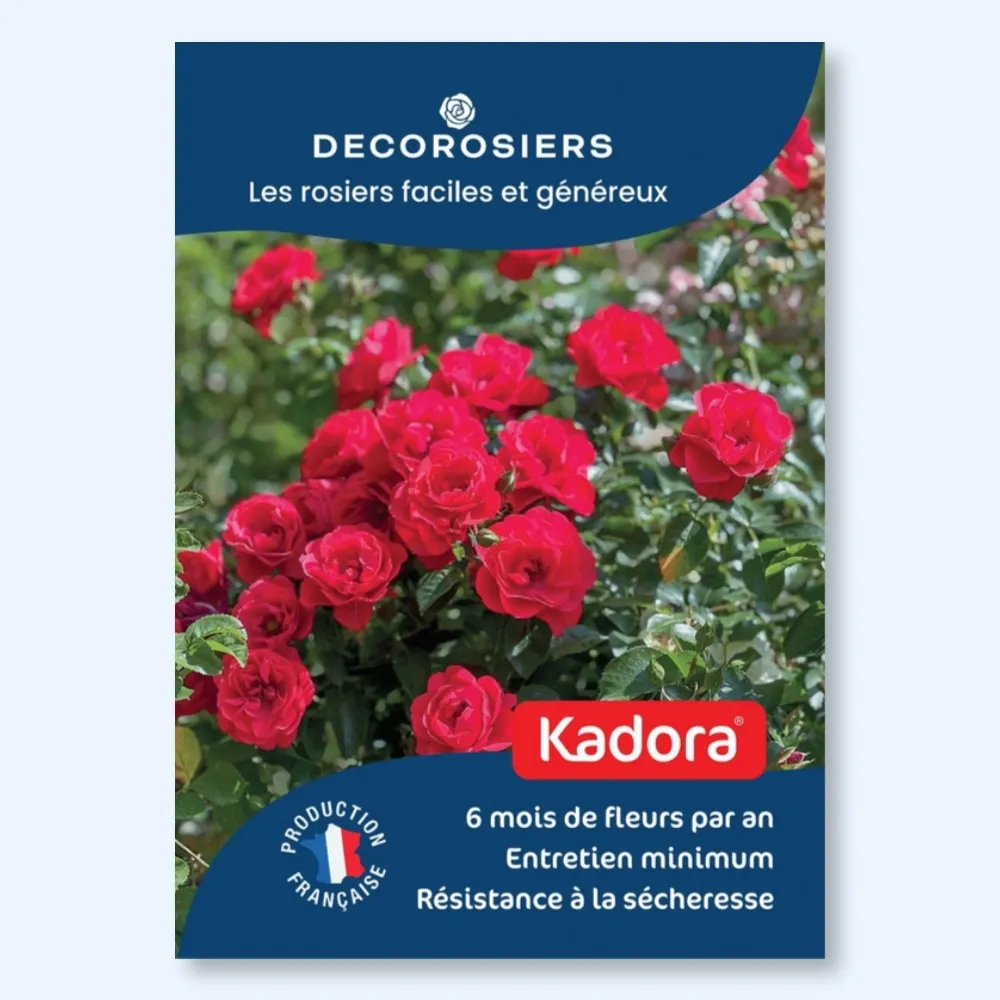 Affichette PVC DECOROSIERS® Kadora®