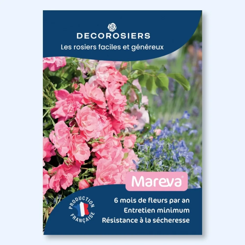 Affichette PVC DECOROSIERS® Mareva®