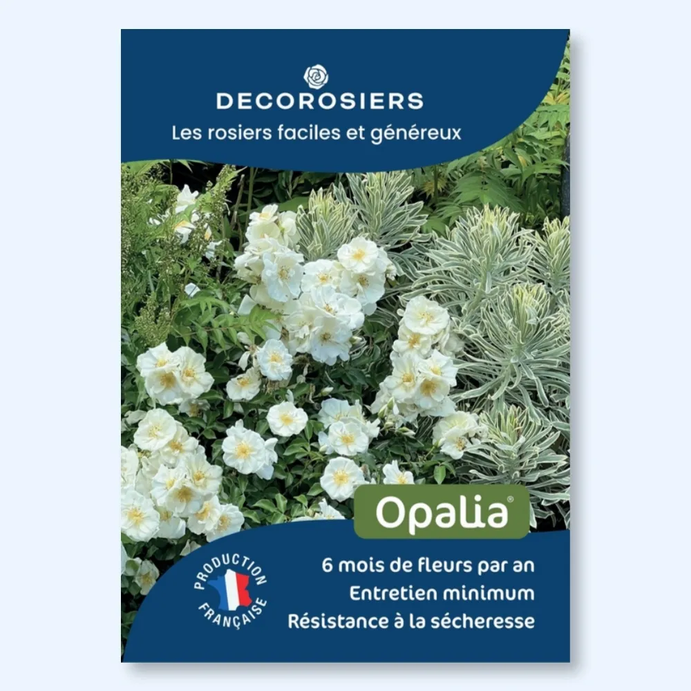 Affichette PVC DECOROSIERS® Opalia®