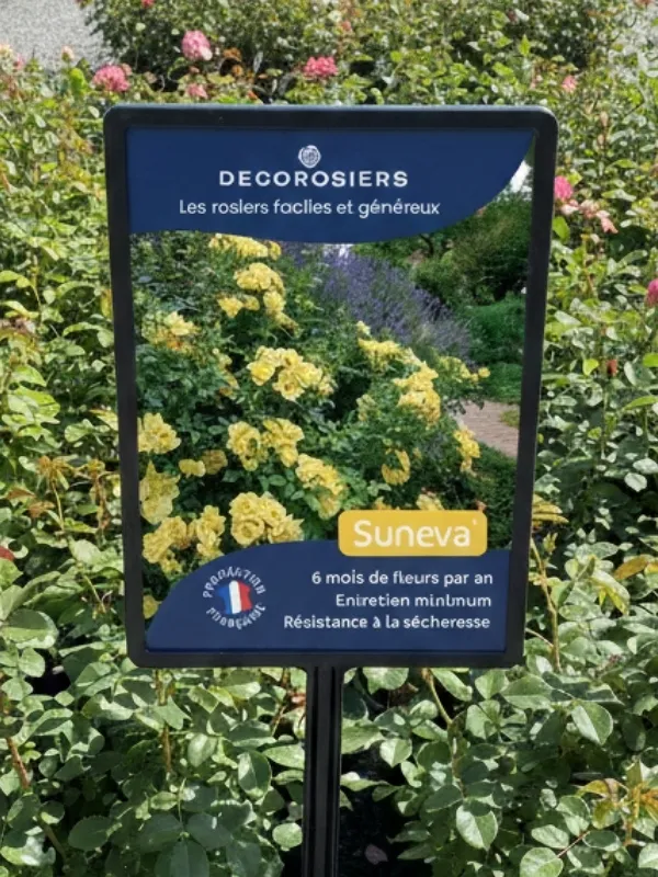 [PLVAFFPVCSUN] Affichette PVC DECOROSIERS® Suneva®