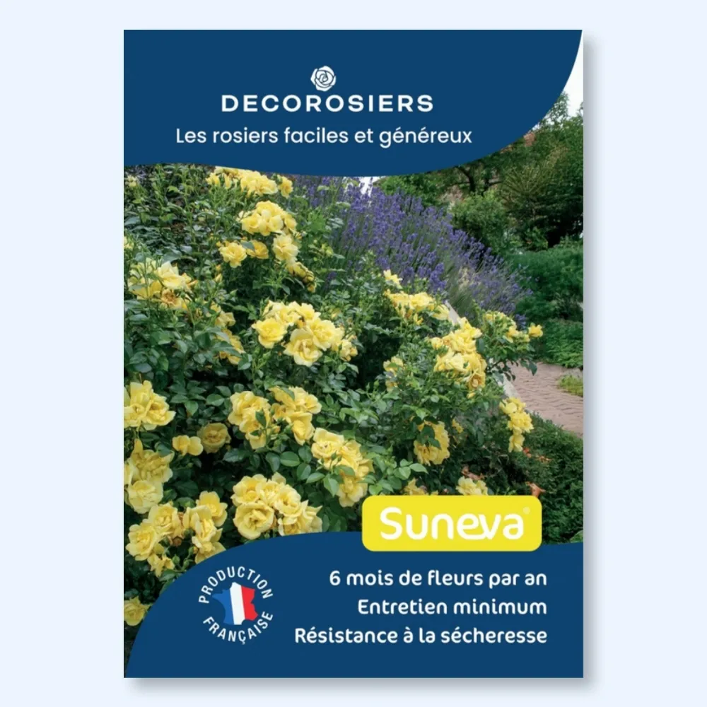 Affichette PVC DECOROSIERS® Suneva®