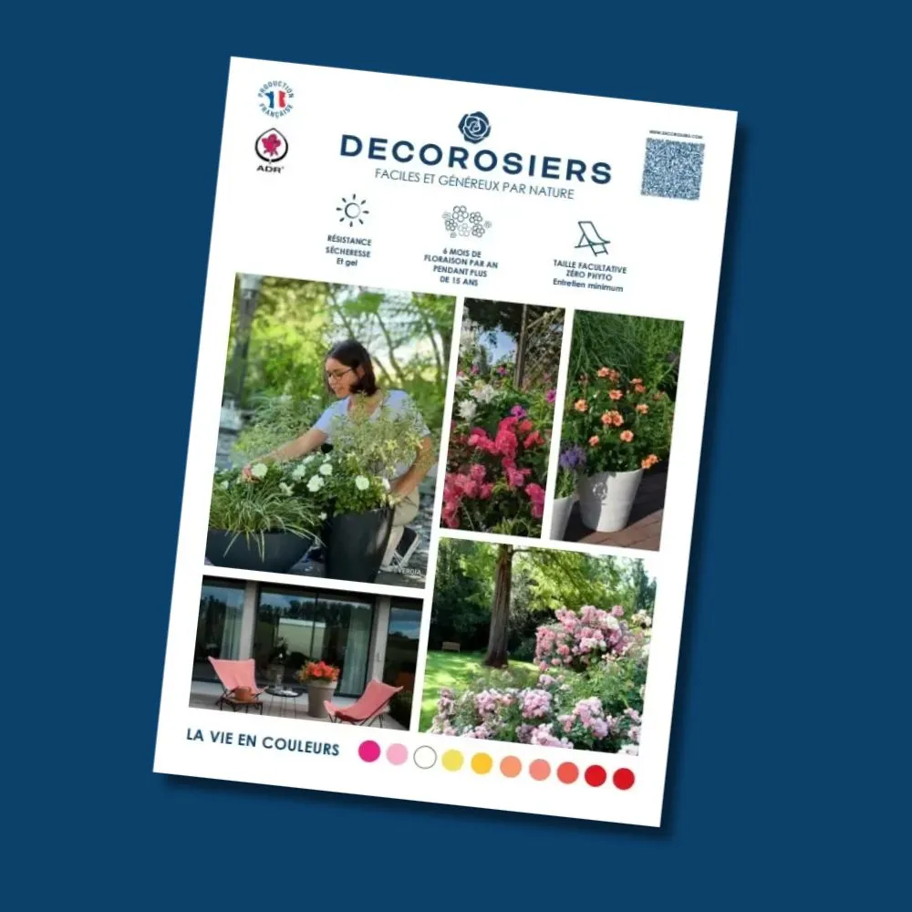 [PLVCATALOGUE] Catalogue DECOROSIERS®