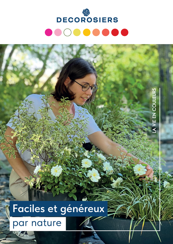[PLVCATALOGUE] Catalogue DECOROSIERS®
