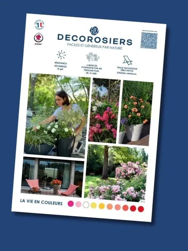 [PLVCATALOGUE] Catalogue DECOROSIERS®