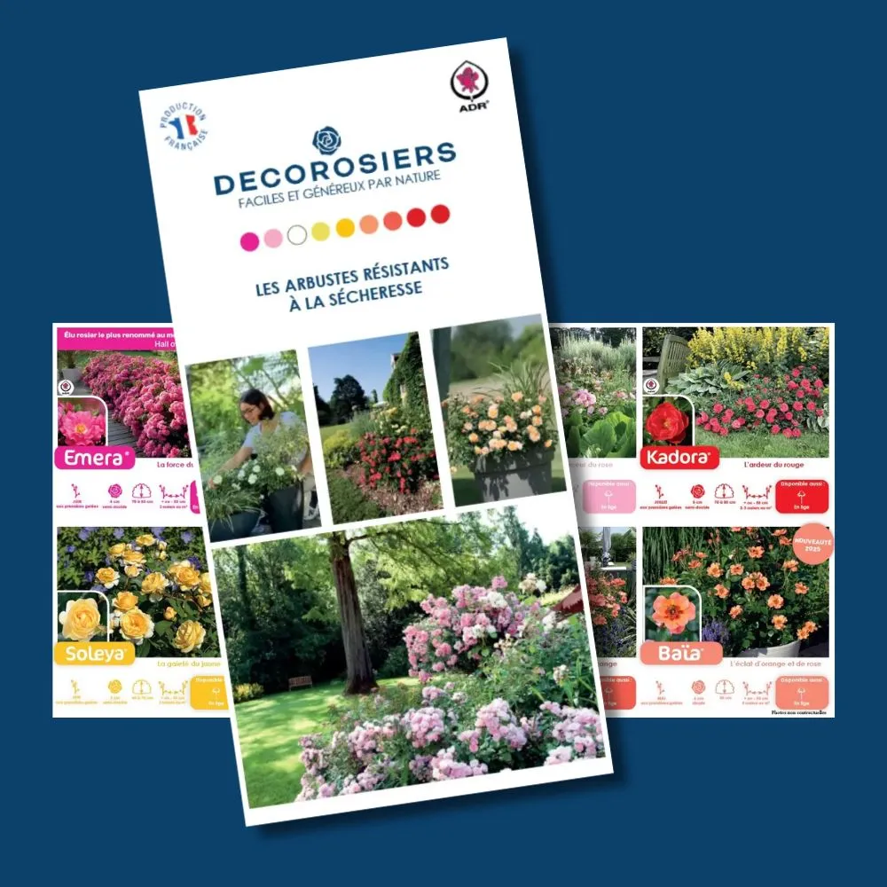 [PLVDEPGAMNP] Dépliant DECOROSIERS® personnalisable