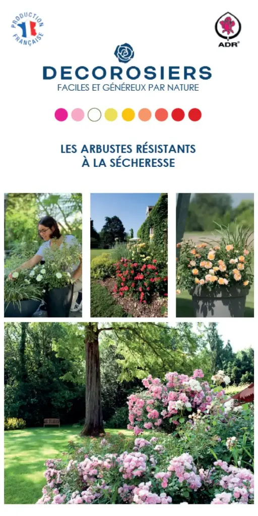 [PLVDEPGAMNP] Dépliant DECOROSIERS® personnalisable