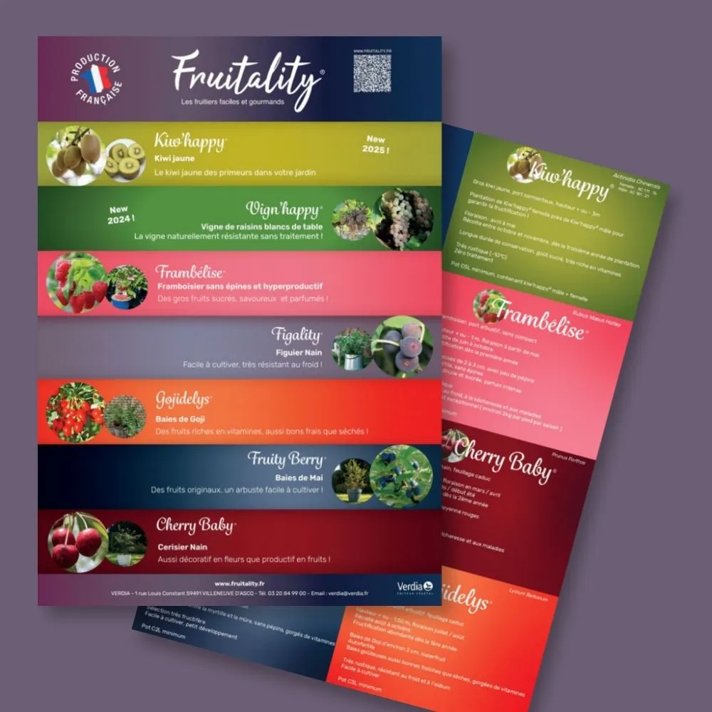 [PLVFLYERFRUIT] Plaquette A4 FRUITALITY® recto verso