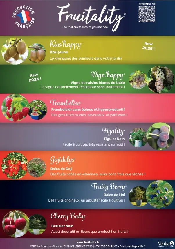 Plaquette FRUITALITY® A4 recto verso