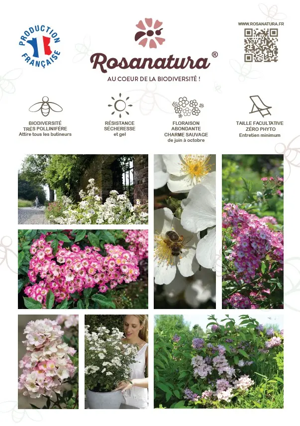 [PLVFLYERROSANAT] Plaquette ROSANATURA® A4 recto verso