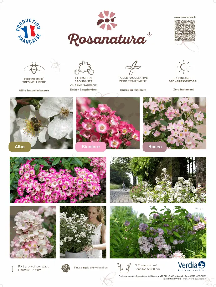 [PLVAKIROSA60X80] Panneau akilux ROSANATURA® 60x80cm