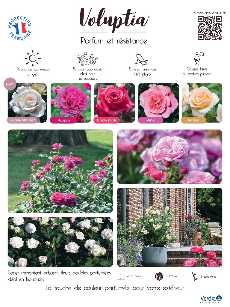 Panneau akilux VOLUPTIA® 60x80cm