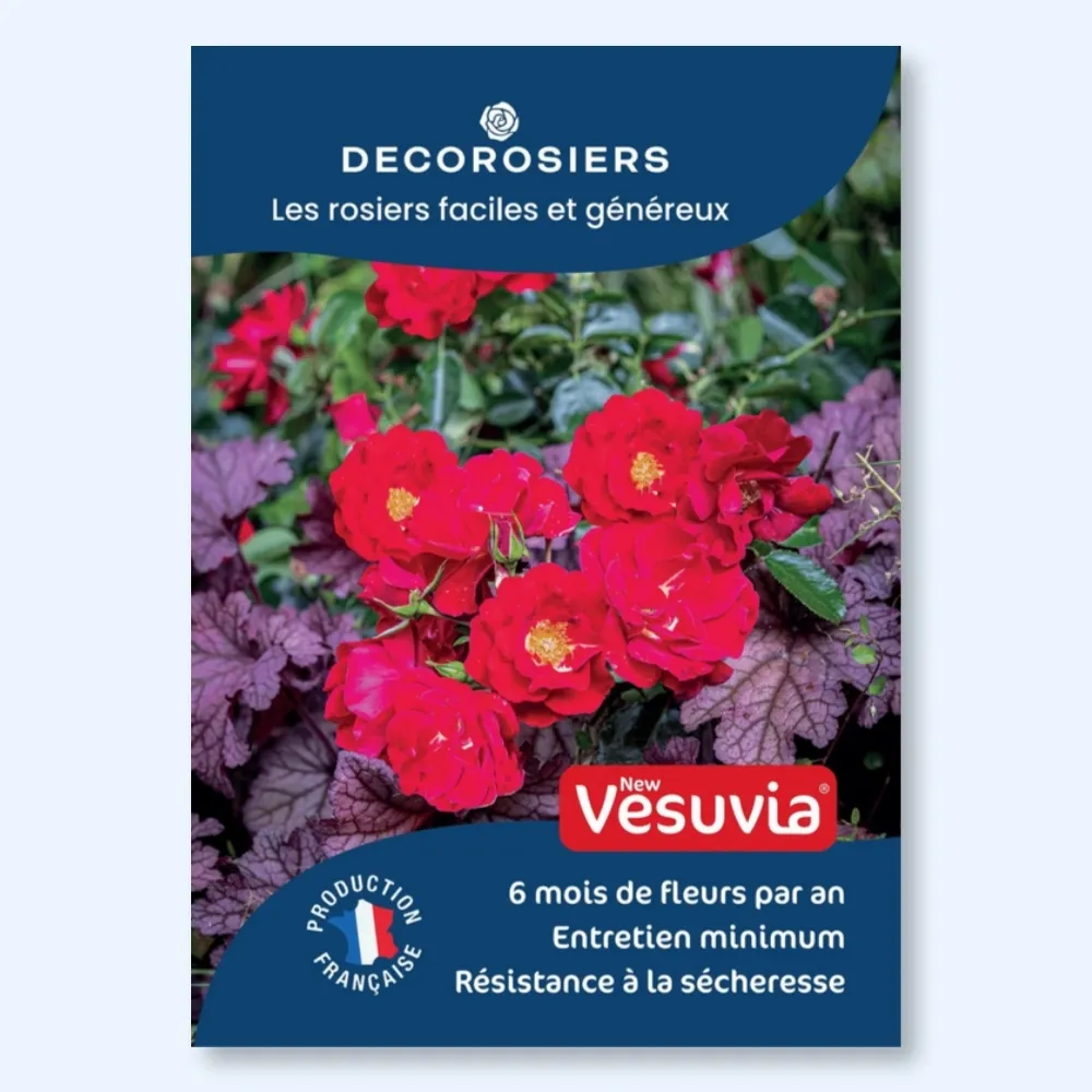 [PLVAFFPVCNEW] Affichette A4 PVC DECOROSIERS® New Vesuvia®