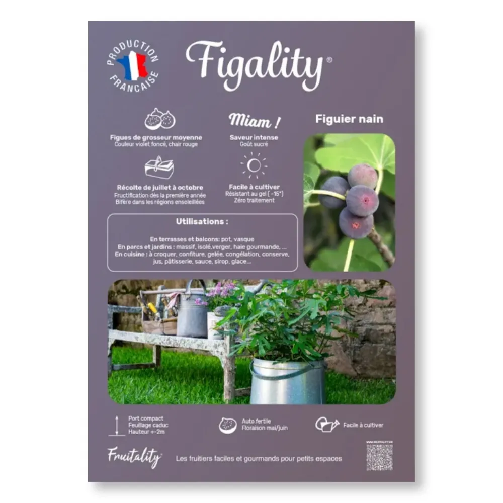 [PLVAFFPVCFIG] Affichette PVC FRUITALITY® Figality®