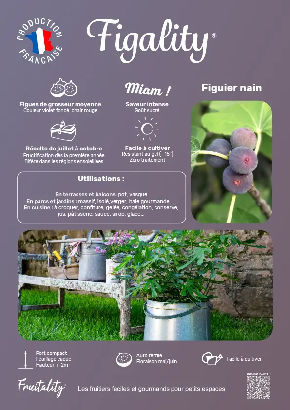 [PLVAFFPVCFIG] Affichette PVC FRUITALITY® Figality®