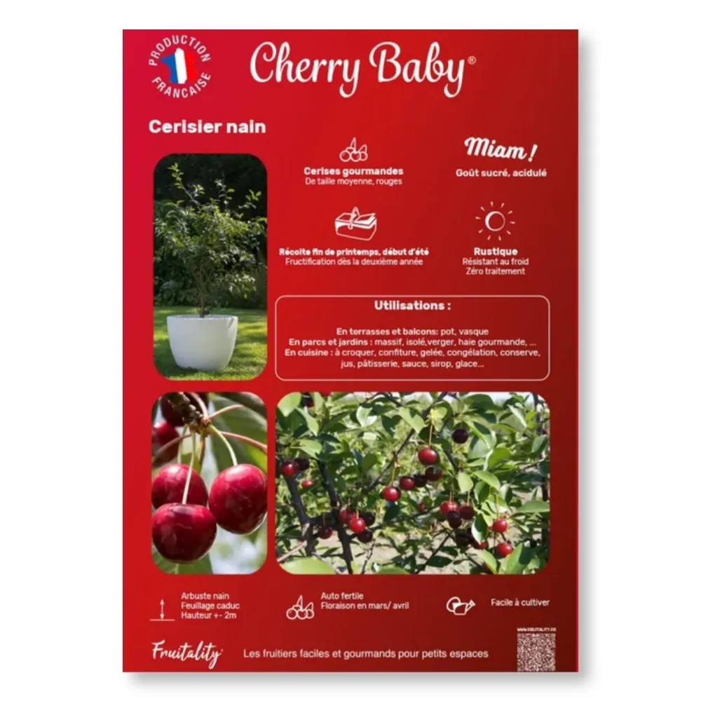 [PLVAFFPVCCHE] Affichette PVC FRUITALITY® Cherry Baby®