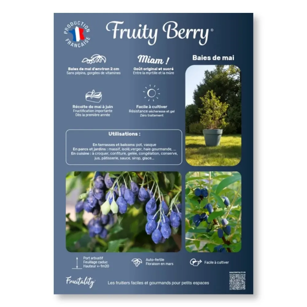 [PLVAFFPVCFRU] Affichette PVC FRUITALITY® Fruity Berry®