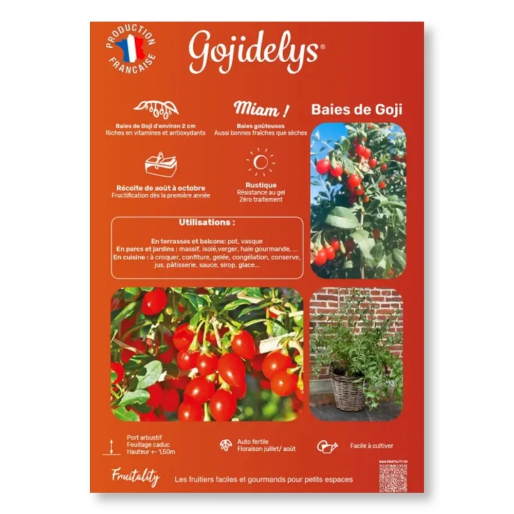 [PLVAFFPVCGOJ] Affichette PVC FRUITALITY® Gojidelys®