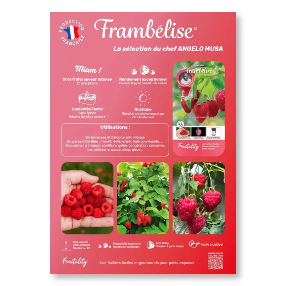 [PLVAFFPVCFRAM] Affichette PVC FRUITALITY® Frambelise®
