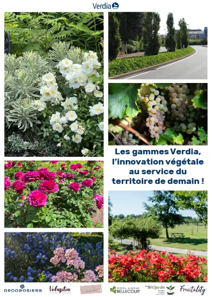 [PLVCATVERA5] CATALOGUE GENERAL A5