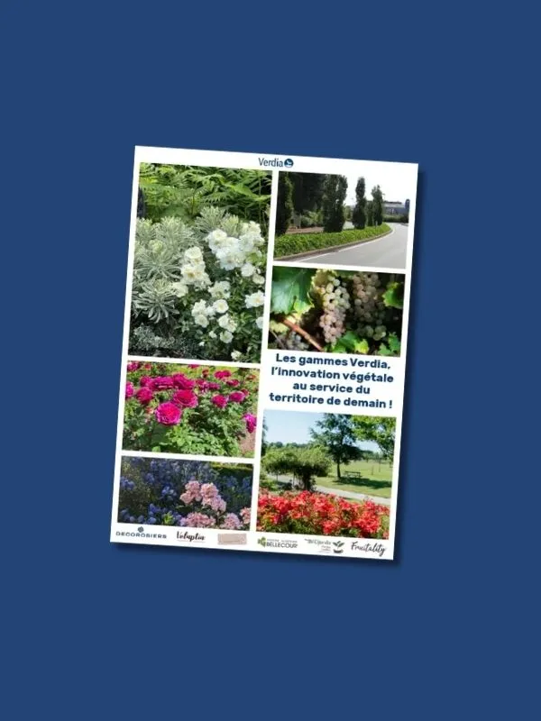 [PLVCATVERA5] CATALOGUE GENERAL A5