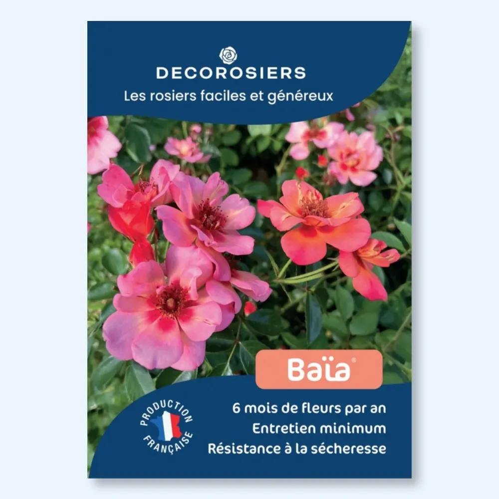 Affichette PVC DECOROSIERS® Baïa®