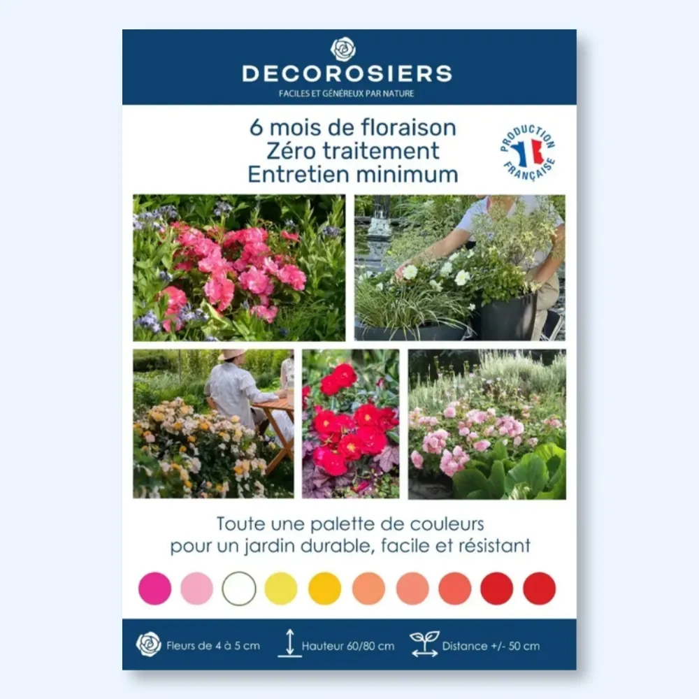 ​Affiche PVC DECOROSIERS​® A4