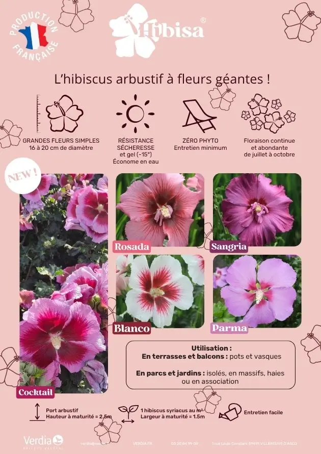 Affichette PVC HIBISA®