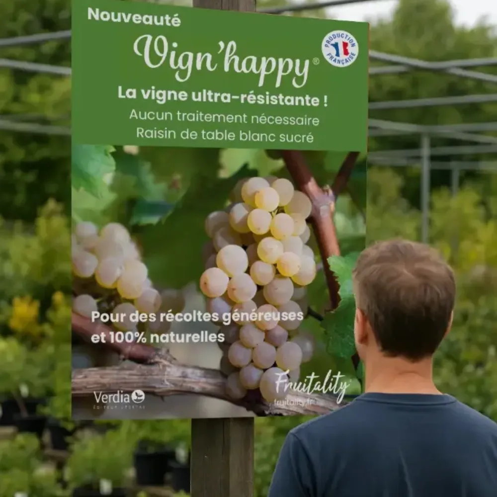 Panneau akilux Vignhappy® 60x80cm