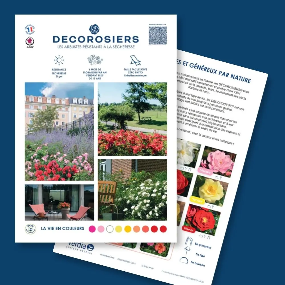 [PLVFLYERDECOPAYS] Plaquette A4 DECOROSIERS® PAYSAGE recto-verso