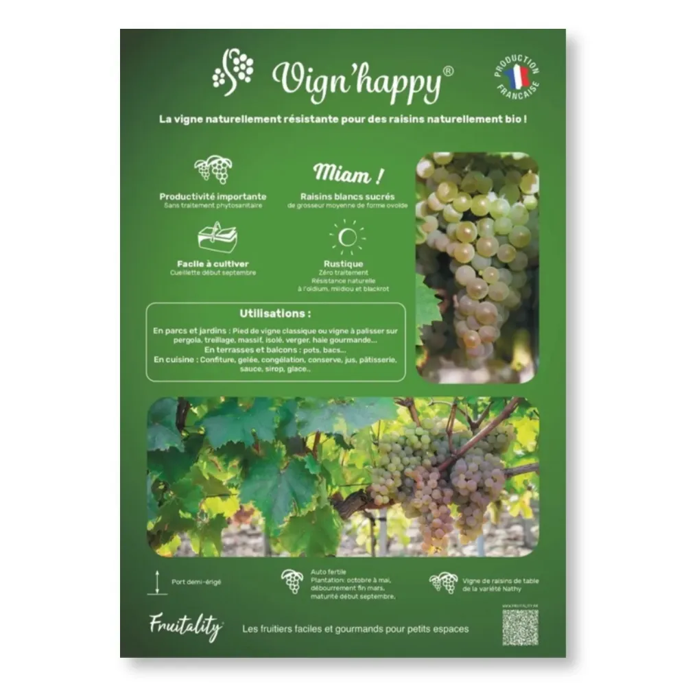 [PLVAFFPVCVIG] Affichette PVC FRUITALITY® Vign'Happy®