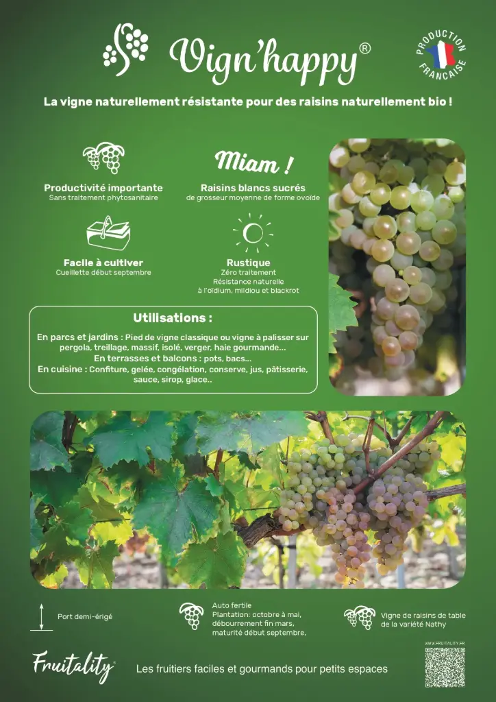 [PLVAFFPVCVIG] Affichette PVC FRUITALITY® Vign'Happy®