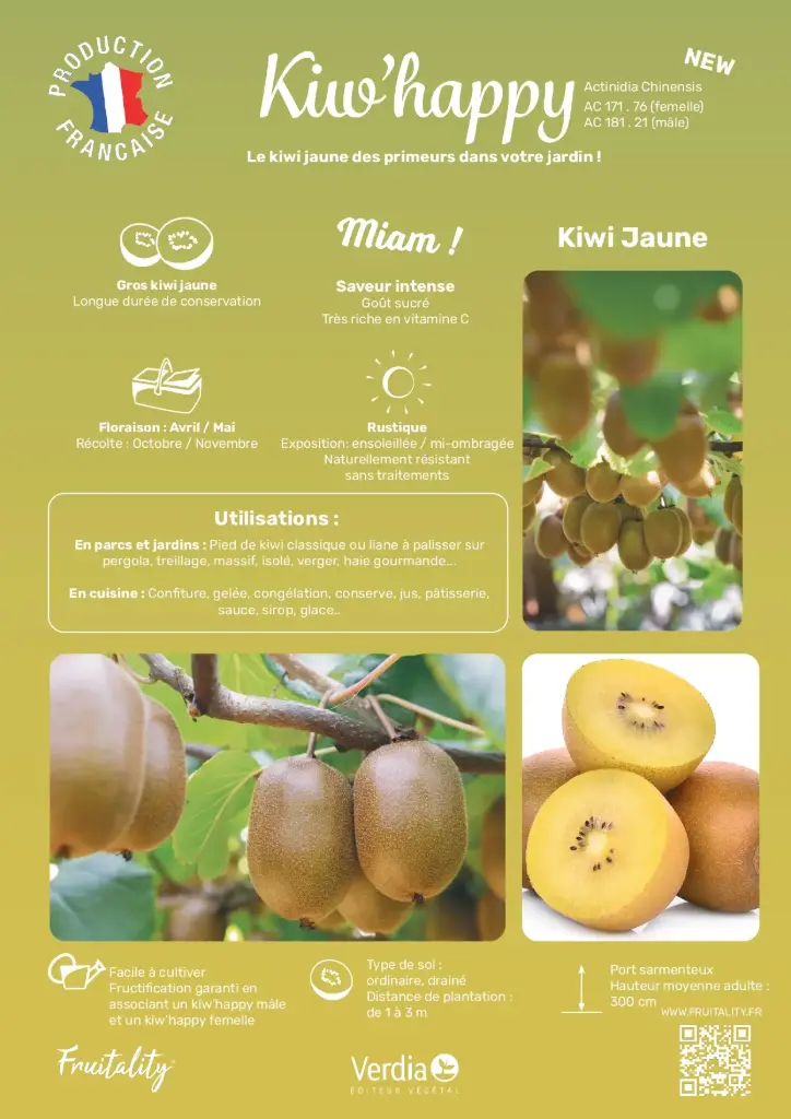 [PLVAFFPVCKIW] Affichette PVC FRUITALITY® Kiw'Happy®