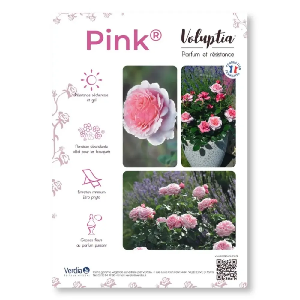 [PLVAFFPVCPINK] Affichette PVC VOLUPTIA® Pink®