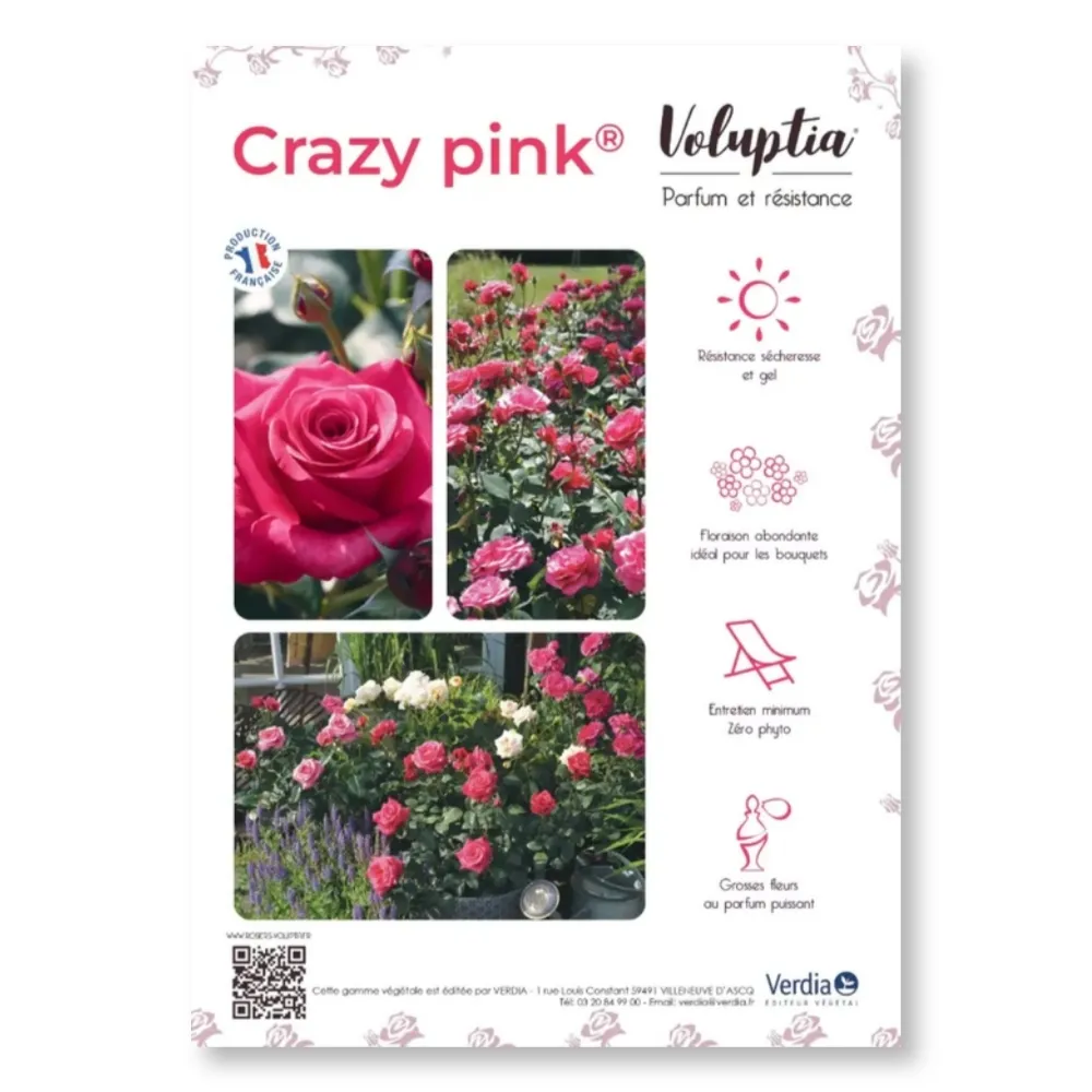 [PLVAFFPVCCRA] Affichette PVC VOLUPTIA® Crazy Pink®