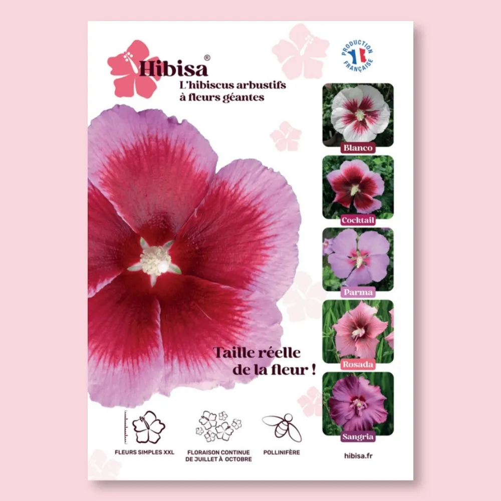 ​Affichette PVC HIBISA COCKTAIL
