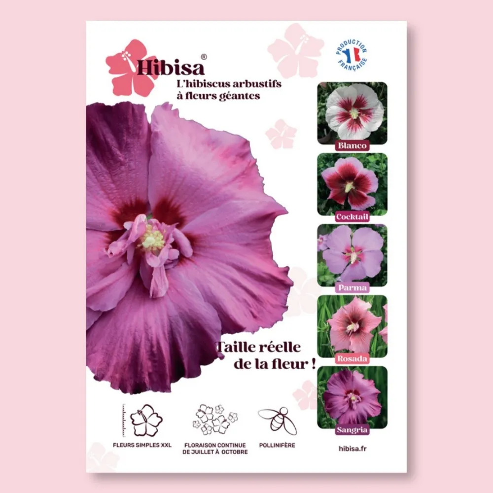 ​Affichette PVC HIBISA SANGRIA