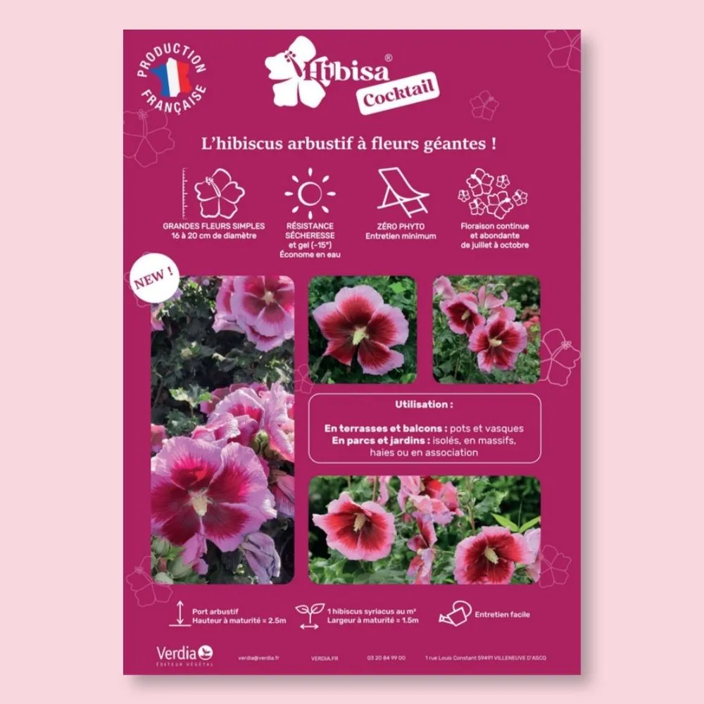 ​Affichette A4 PVC HIBISA COCKTAIL