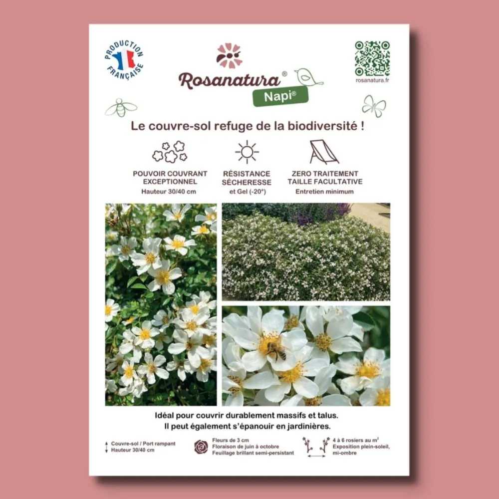 [PLVAFFPVCROSNAPI] ​Affichette A4 PVC ROSANATURA NAPI®
