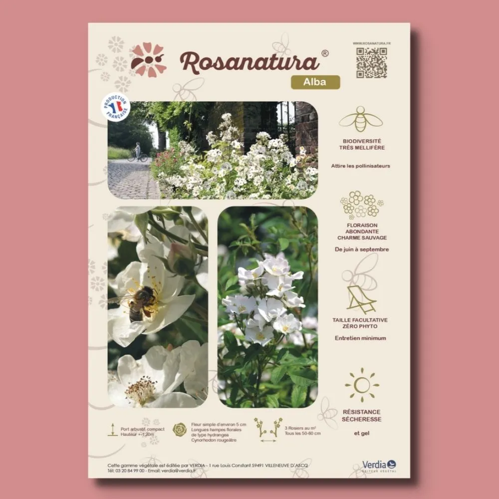 ​Affichette A4 PVC ROSANATURA ALBA